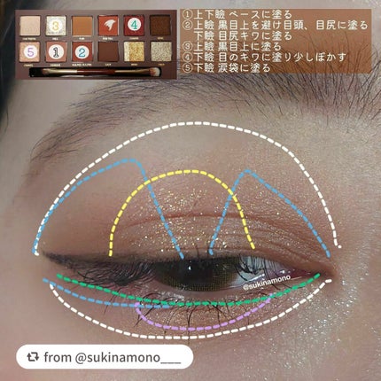 エクスプローラ12色 動物アイシャドウパレット/PERFECT DIARY/アイシャドウパレットを使ったクチコミ(5枚目)