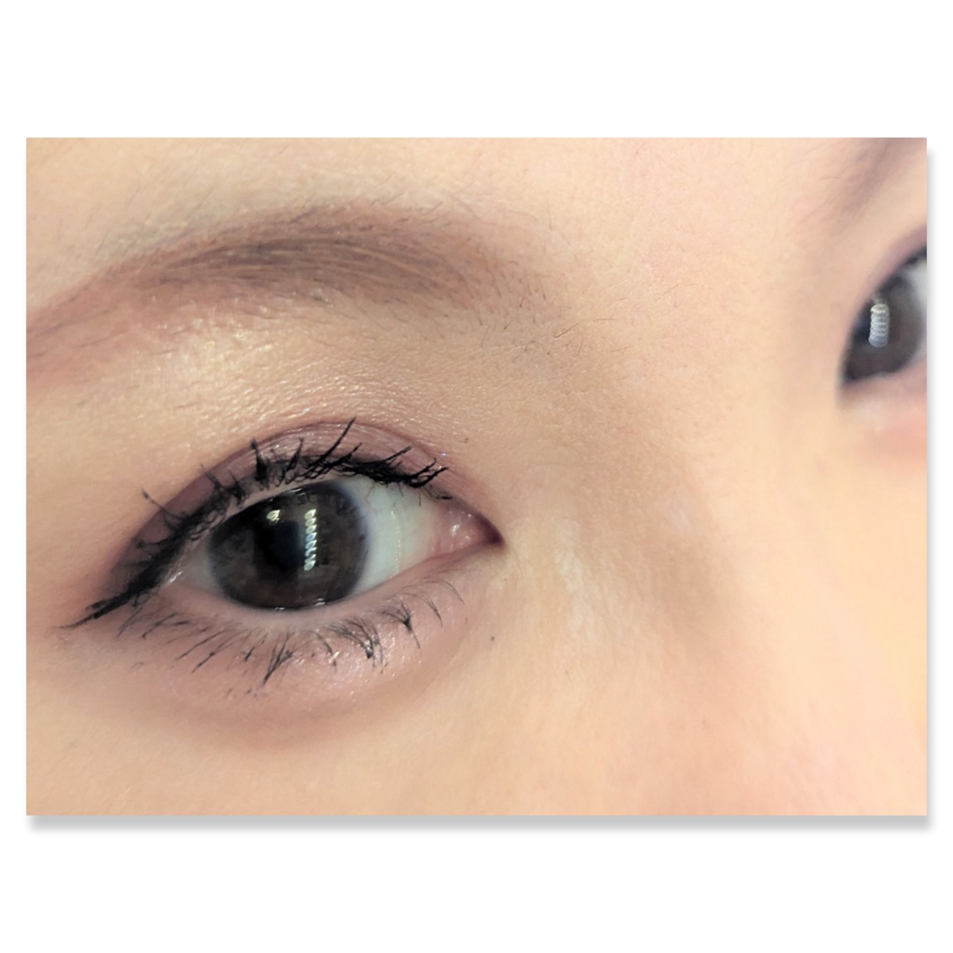 シルキースフレアイズ（マットタイプ）/キャンメイク/アイシャドウパレットを使ったクチコミ（2枚目）