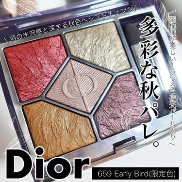 サンク クルール クチュール＜バーズ オブ ア フェザー＞/Dior/アイシャドウパレットを使ったクチコミ（1枚目）