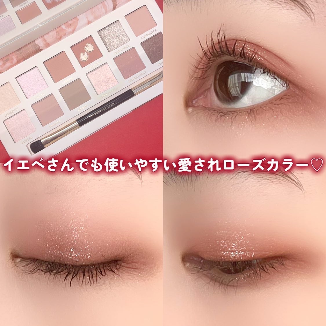 エクスプローラ12色 動物アイシャドウパレット/PERFECT DIARY/アイシャドウパレットを使ったクチコミ(6枚目)