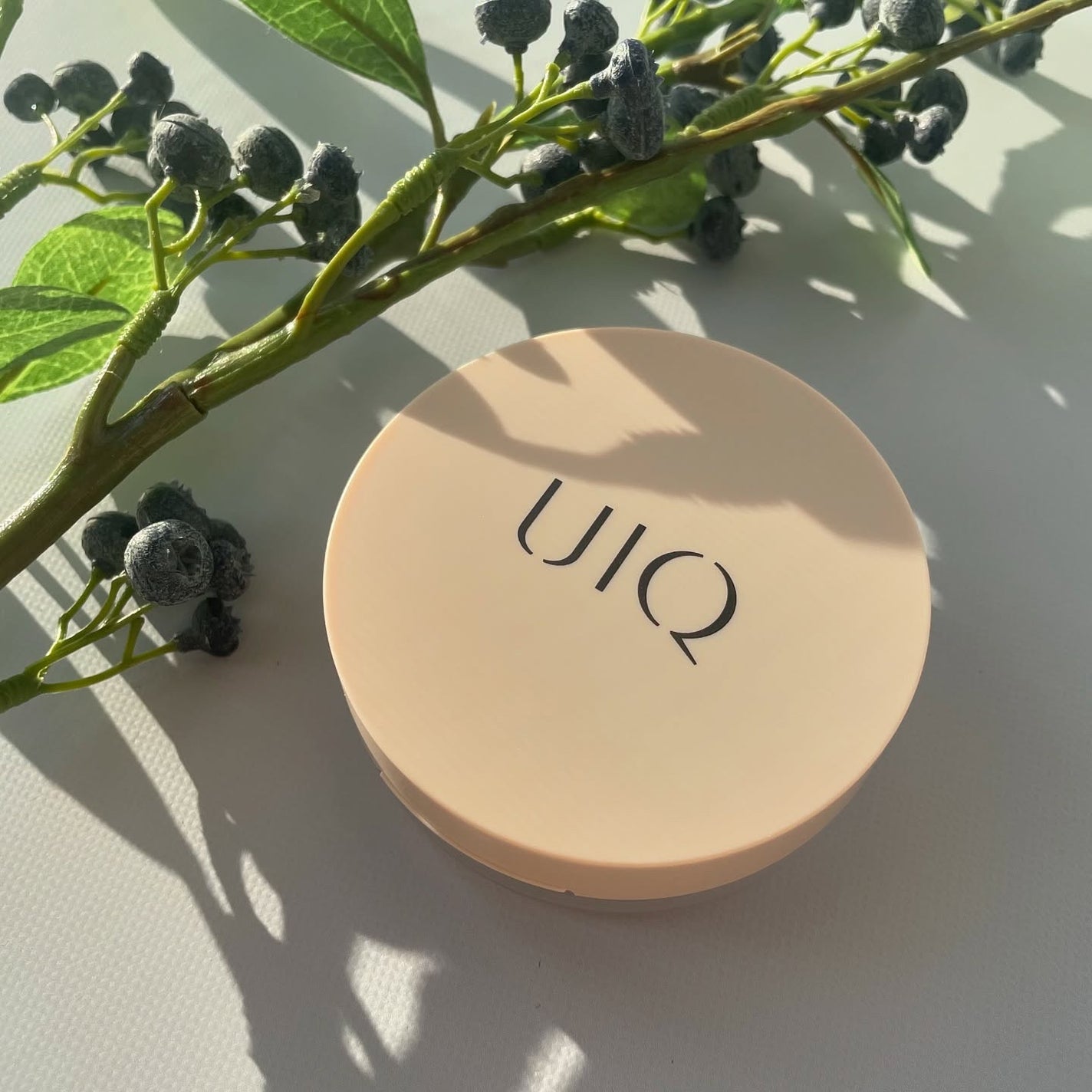 バイオムバリアエッセンスインパウダー/UIQ/ルースパウダーを使ったクチコミ(5枚目)