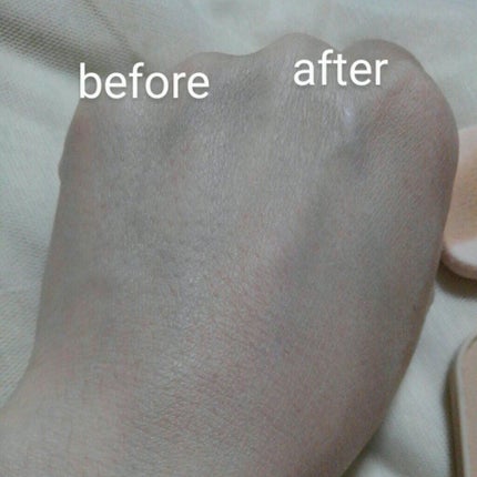 ファンデーション ケース D 1/ちふれ/その他化粧小物の画像