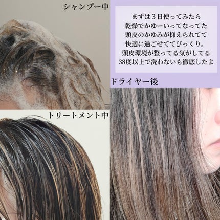 薬用スカルプケアシャンプー/トリートメント モイスト/WELLP/市販シャンプーを使ったクチコミ(4枚目)