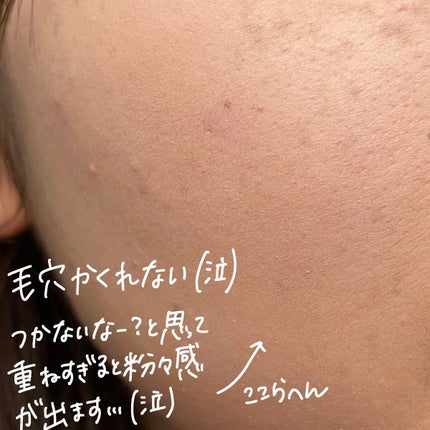 タイムシークレット ミネラルプレストクリアベール クール/TIME SECRET/プレストパウダーを使ったクチコミ(5枚目)