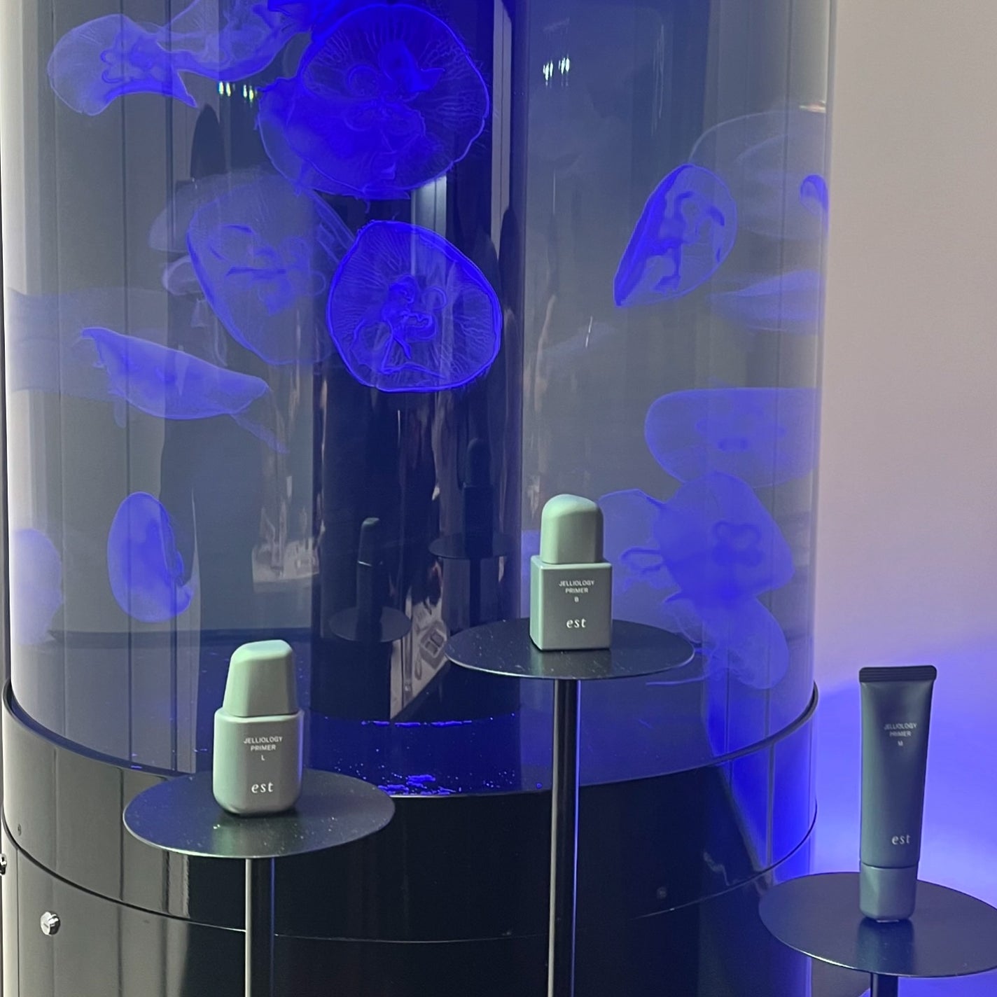 エスト ジェリオロジー プライマー M/est/化粧下地を使ったクチコミ(2枚目)