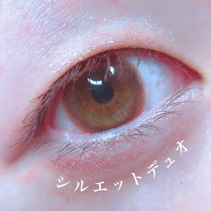 エバーカラーワンデーナチュラル モイストレーベルUV/エバーカラー/ワンデー(1DAY)カラコンを使ったクチコミ(2枚目)