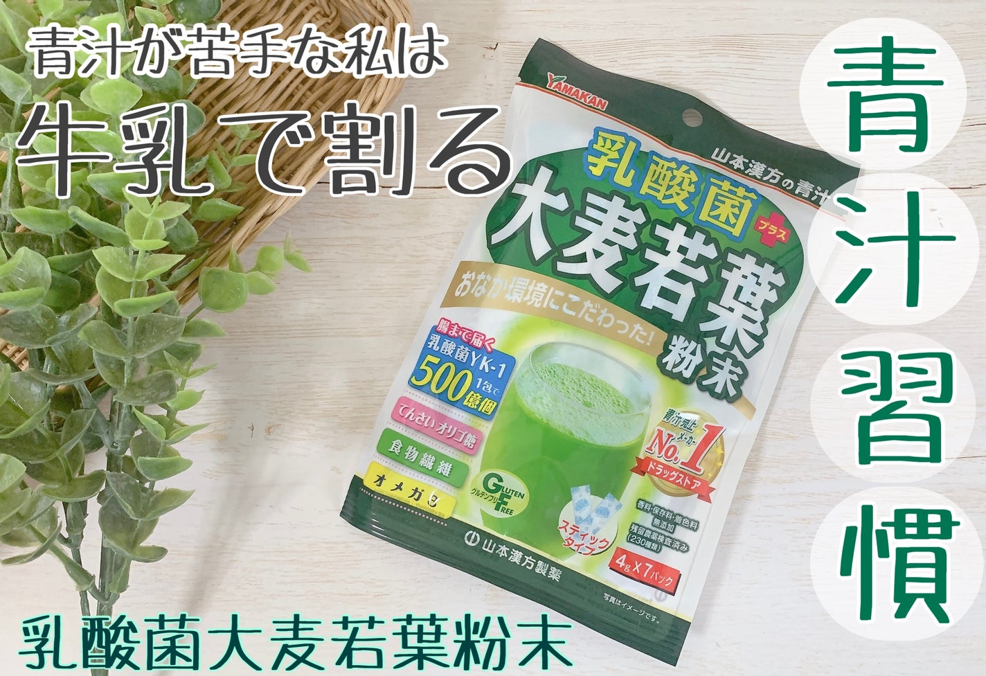 乳酸菌プラス 大麦若葉 粉末/山本漢方製薬/青汁を使ったクチコミ(1枚目)