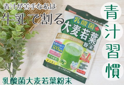 乳酸菌プラス 大麦若葉 粉末/山本漢方製薬/青汁を使ったクチコミ(1枚目)