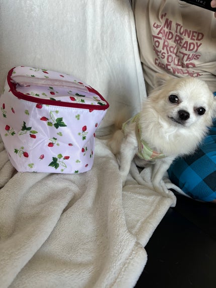 ゼクシィ 2024年9月号/ゼクシィ/雑誌を使ったクチコミ(5枚目)