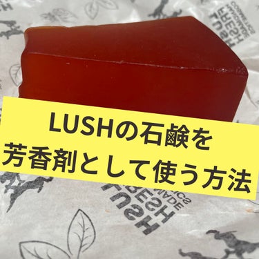 ラッシュ ゴールドバスターのクチコミ「LUSHの石鹸の有効活用🌟

皆さんはLUSHの固形石鹸をどう使ってますか？
普通に体を洗うだ.....」（1枚目）