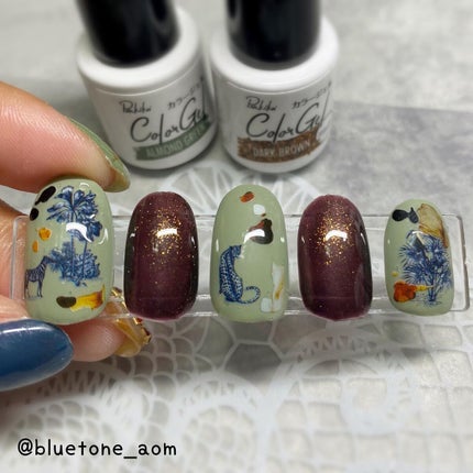 パル カラージェル/キャンドゥ/ジェルネイルを使ったクチコミ(5枚目)