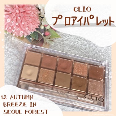 プロ アイ パレット 12 AUTUMN BREEZE IN SEOUL FOREST/CLIO/アイシャドウパレットの画像