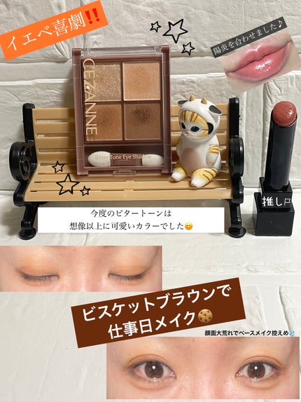 ビタートーンアイシャドウ/CEZANNE/パウダーアイシャドウを使ったクチコミ(1枚目)