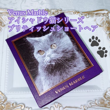 Venus Marble アイシャドウキャットシリーズ/Venus Marble/パウダーアイシャドウを使ったクチコミ（1枚目）