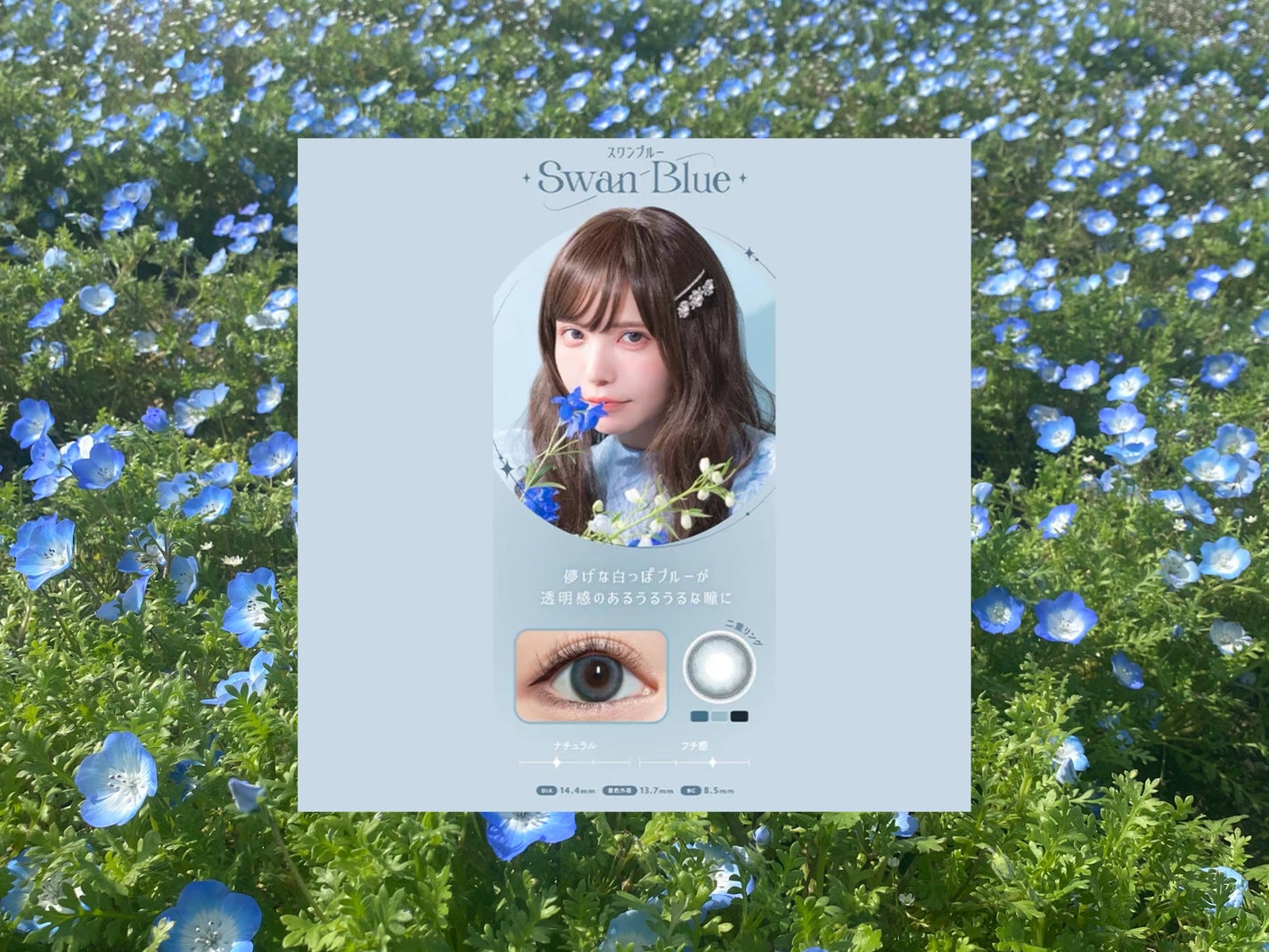 Angelcolor Bambi Series 1day /AngelColor/ワンデー(1DAY)カラコンを使ったクチコミ(1枚目)