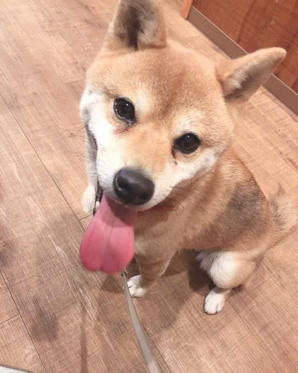 クナイプ バスソルト バニラ&ハニーの香り/クナイプ/無機塩系入浴剤を使ったクチコミ(4枚目)