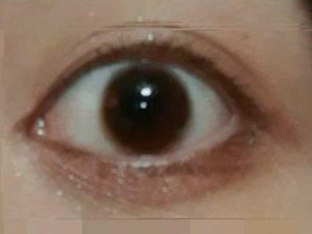 【旧品】パーフェクトスタイリストアイズ/キャンメイク/アイシャドウパレットを使ったクチコミ(1枚目)