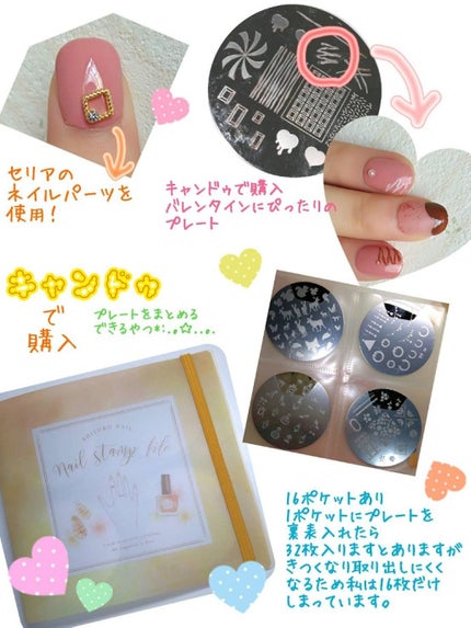 ネイルカラー ZP244_Mia/ゾーヤ/マニキュアの画像