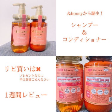 Creamy EXダメージリペアシャンプー1.0/ヘアトリートメント2.0/&honey/シャンプー・コンディショナーを使ったクチコミ（1枚目）