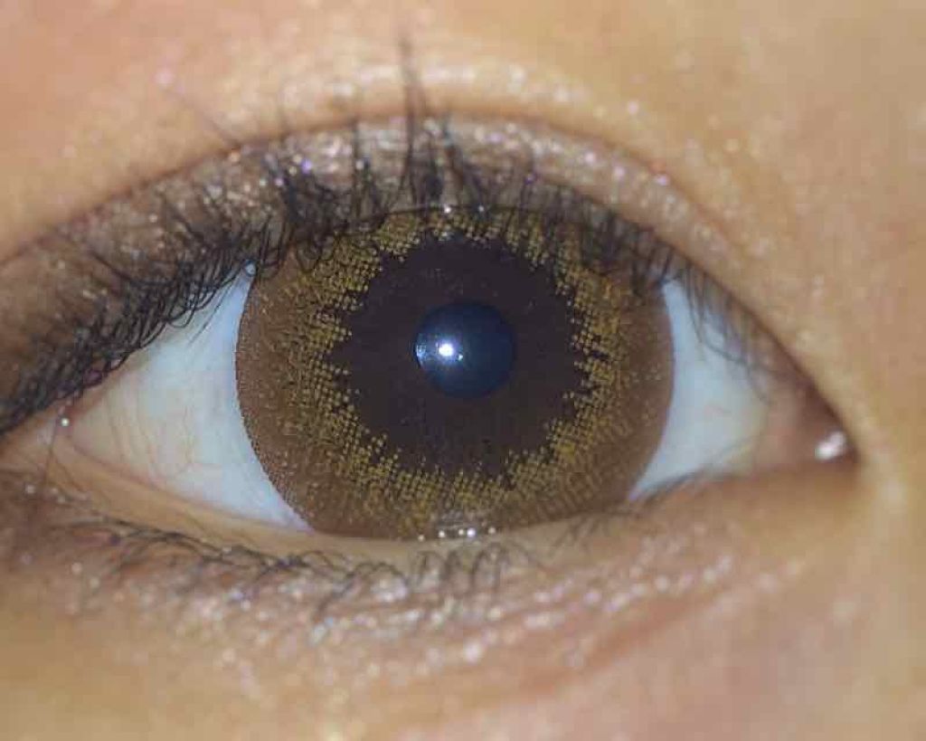 FLANMY 1day ドーナツブラウン/FLANMY/ワンデー（１DAY）カラコンを使ったクチコミ（2枚目）