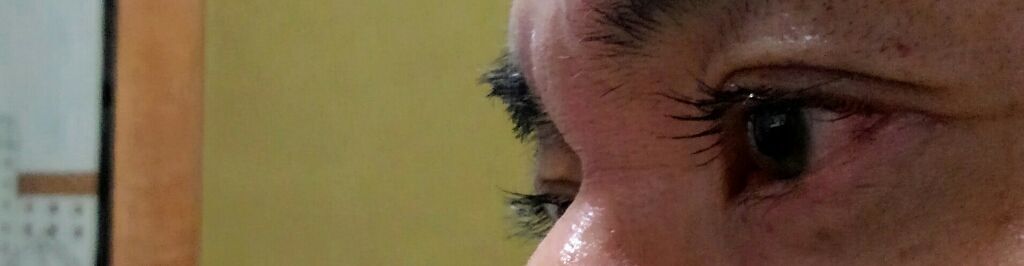 オペラ マイラッシュ アドバンスト/OPERA/マスカラを使ったクチコミ(1枚目)