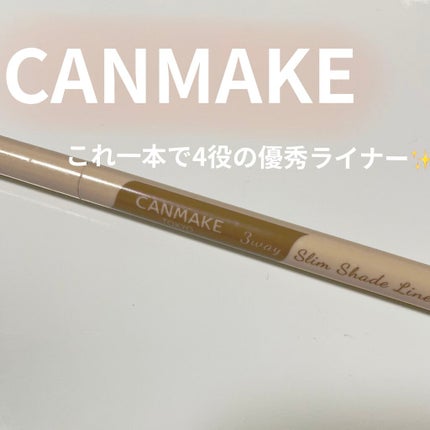 3wayスリムシェードライナー/キャンメイク/リキッドアイライナーを使ったクチコミ(1枚目)