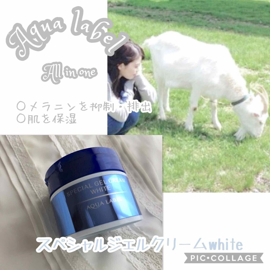 スペシャルジェルクリームA （ホワイト）（医薬部外品）/アクアレーベル/オールインワン化粧品を使ったクチコミ（1枚目）