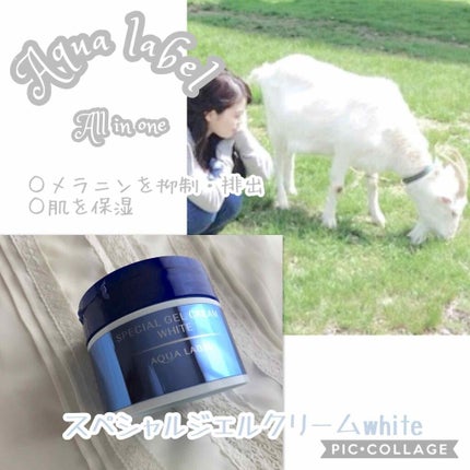 スペシャルジェルクリームA (ホワイト)(医薬部外品)/アクアレーベル/オールインワン化粧品を使ったクチコミ(1枚目)