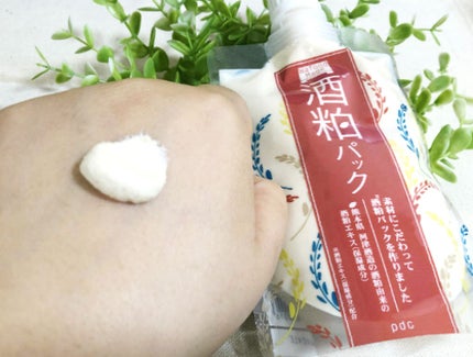 ワフードメイド 酒粕パック/pdc/洗い流すパック・マスクを使ったクチコミ(3枚目)
