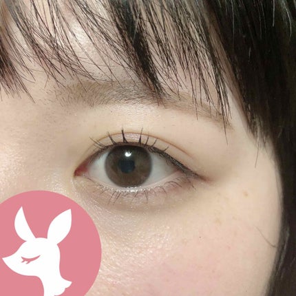 ジューシーピュアアイズ/キャンメイク/アイシャドウパレットを使ったクチコミ(3枚目)