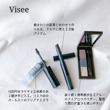 ヴィセ リシェ アイブロウパウダー/Visée/パウダーアイブロウを使ったクチコミ(10枚目)