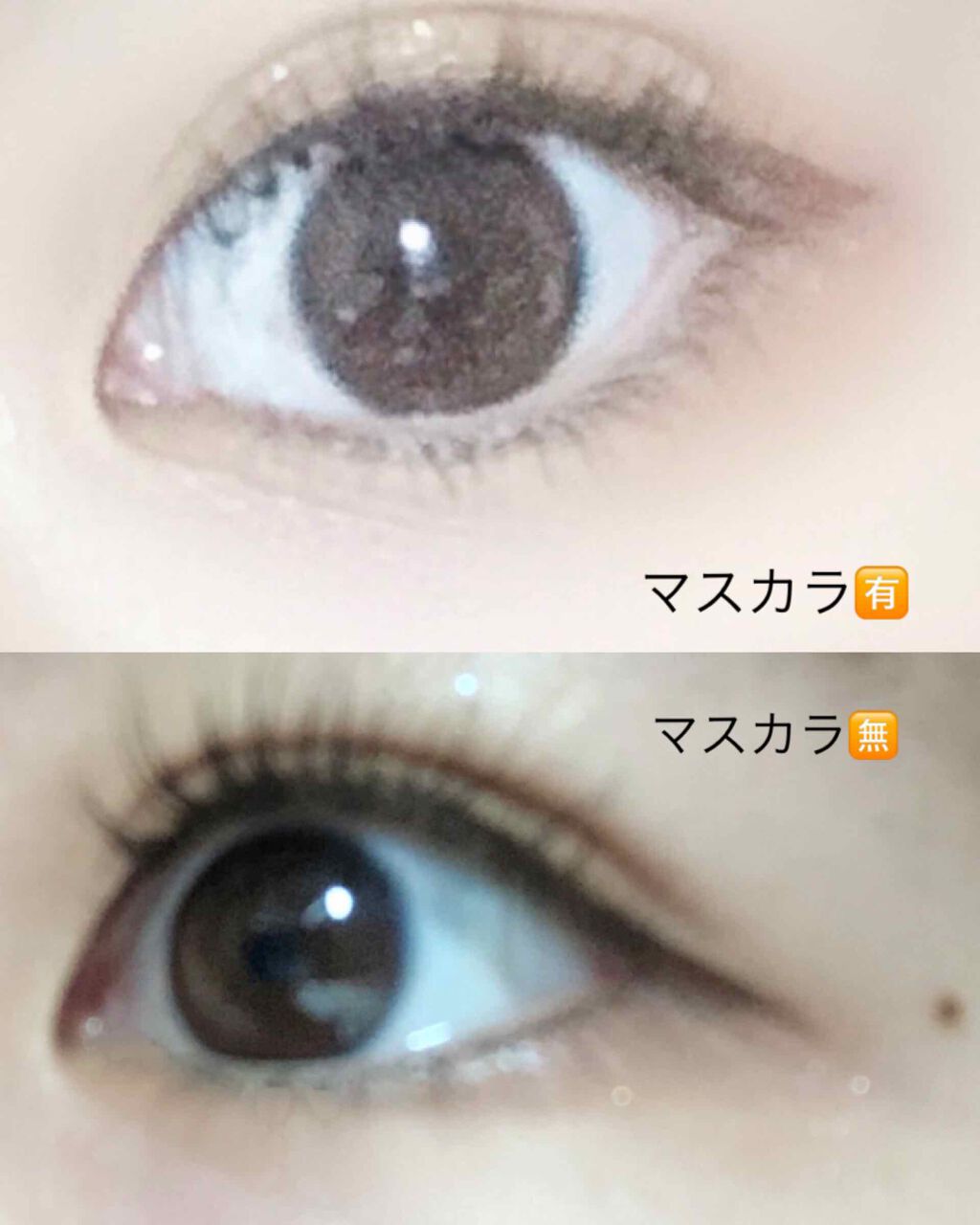 クイックラッシュカーラー/キャンメイク/マスカラ下地を使ったクチコミ（2枚目）