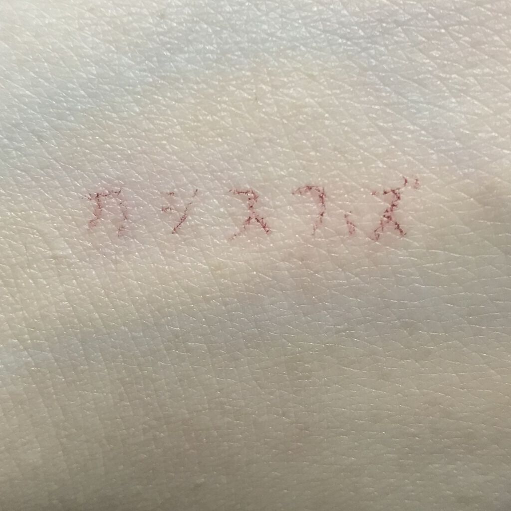 プレイフル リキッドアイライナー/BLEND BERRY/リキッドアイライナーを使ったクチコミ（3枚目）