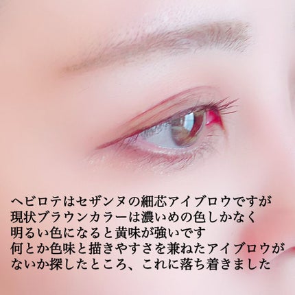 リシェ アイブロウペンシルS/Visée/アイブロウペンシルを使ったクチコミ(4枚目)