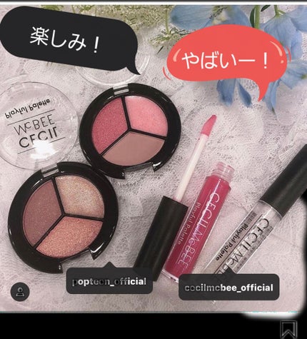 口紅(詰替用)/ちふれ/口紅を使ったクチコミ(1枚目)