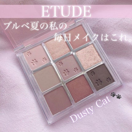 プレイカラーアイズ ダスティキャット/ETUDE/アイシャドウパレットを使ったクチコミ(1枚目)