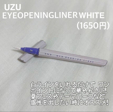 EYE OPENING LINER/UZU BY FLOWFUSHI/リキッドアイライナーを使ったクチコミ(1枚目)