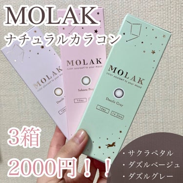 MOLAK 1day/MOLAK/ワンデー（１DAY）カラコンを使ったクチコミ（1枚目）