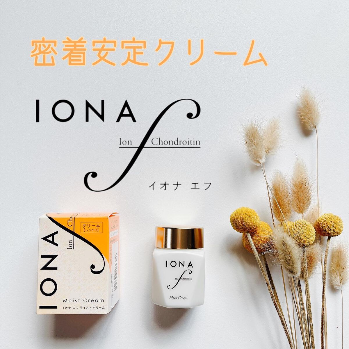 モイスト クリーム/イオナ エフ/フェイスクリームを使ったクチコミ(1枚目)