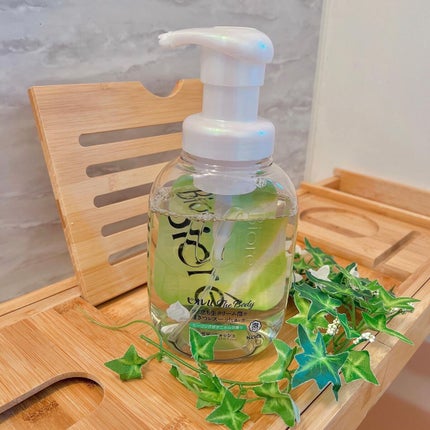 ザ ボディ 泡タイプ ヒーリングボタニカルの香り/ビオレu/ボディソープを使ったクチコミ(5枚目)