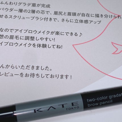 2カラーグラデーションブロウペンシル/KATE/アイブロウペンシルを使ったクチコミ(1枚目)