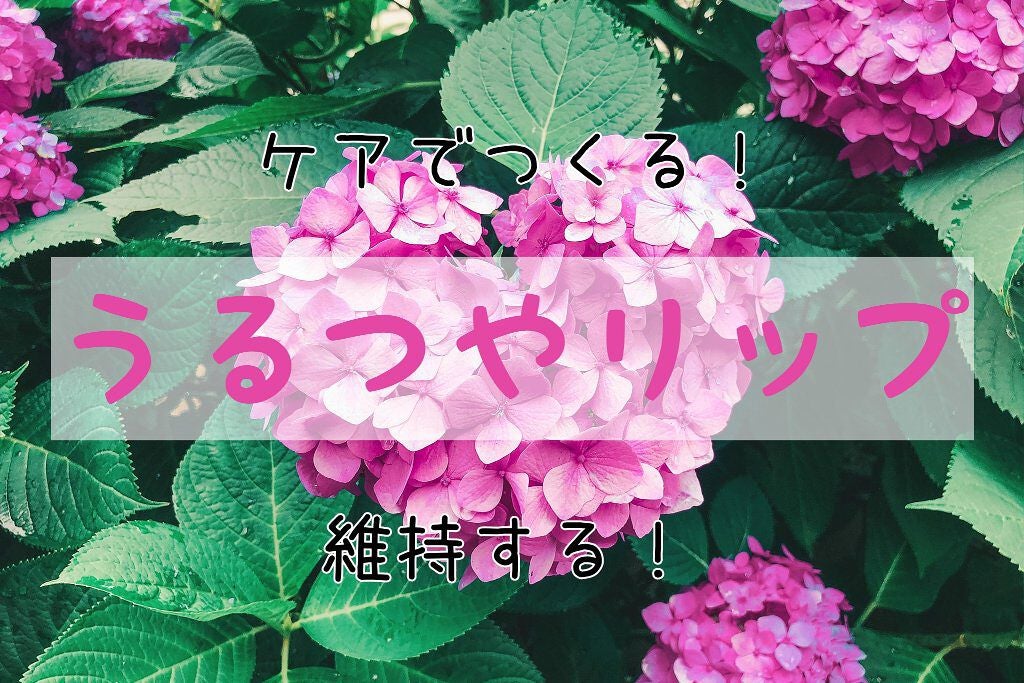 白色ワセリン(医薬品)/日本薬局方/その他を使ったクチコミ(1枚目)