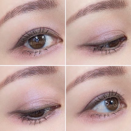 フェイスカラーパレット/チャコット・コスメティクス/アイシャドウパレットを使ったクチコミ(4枚目)