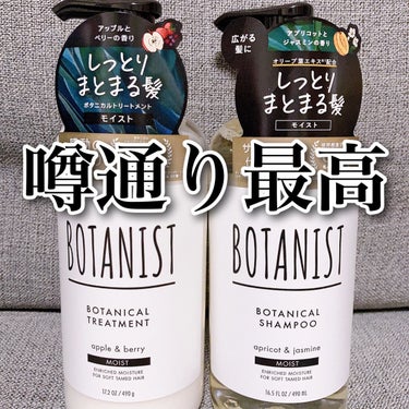 ボタニカルシャンプー／トリートメント(モイスト)  シャンプー/BOTANIST/シャンプー・コンディショナーを使ったクチコミ（1枚目）