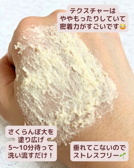 ワフードメイド 酒粕パック/pdc/洗い流すパック・マスクを使ったクチコミ(4枚目)