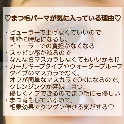 パーフェクトエクステンション マスカラ/D-UP/マスカラを使ったクチコミ(2枚目)
