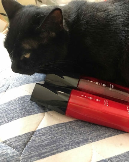 イオエッセンス モイスト/LebeL/ヘアミルクを使ったクチコミ(1枚目)