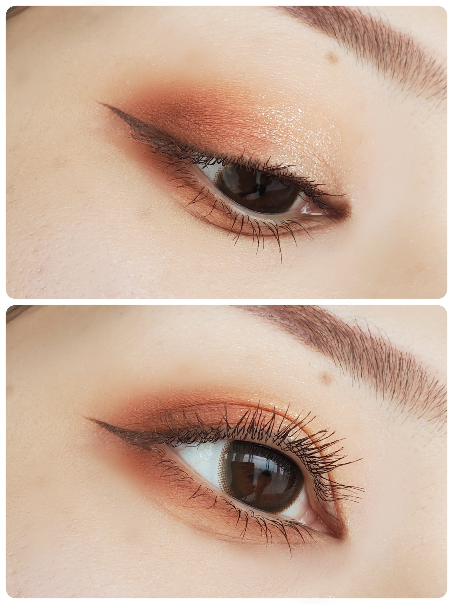 dasique special book /宝島社/書籍を使ったクチコミ（1枚目）