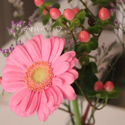 ルージュ ヴォリュプテ シャイン/YVES SAINT LAURENT BEAUTE/口紅を使ったクチコミ(3枚目)