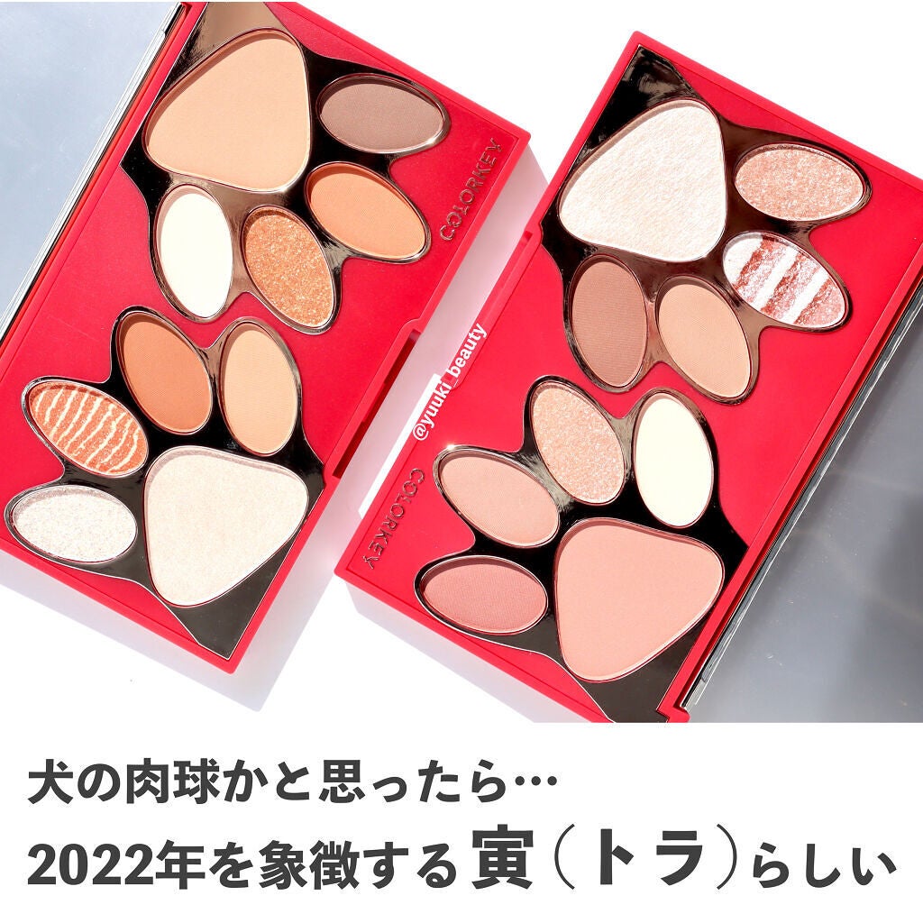 トラ十色アイシャドウパレット/COLORKEY/アイシャドウパレットを使ったクチコミ(6枚目)